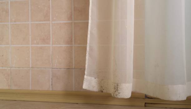 Best Mold Odor Removal Services  in Rock Creek, MN