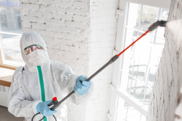 Best Mold Documentation for Insurance Claims  in Rock Creek, MN