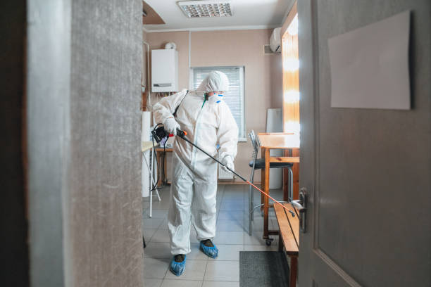 Best HVAC Mold Inspection and Cleaning  in Rock Creek, MN