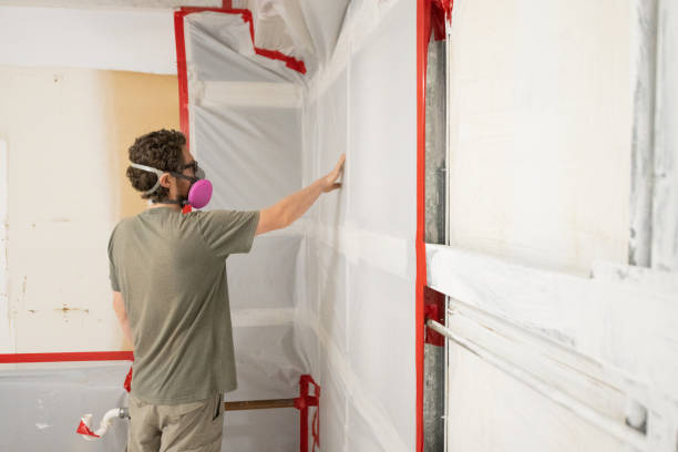Best Water Damage & Mold Remediation  in Rock Creek, MN
