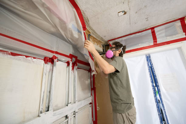 Rock Creek, MN Mold Removal Company