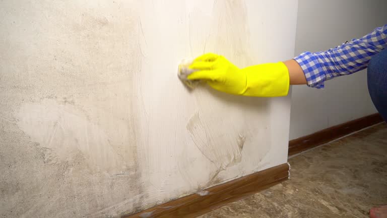 Best Biohazard Mold Removal  in Rock Creek, MN